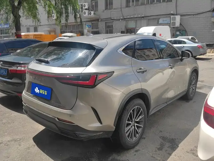 Lexus NX — фото 6