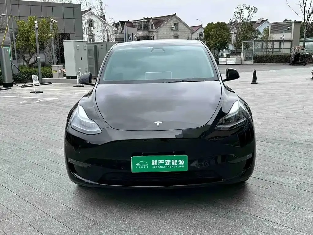 Tesla Model Y — фото 9