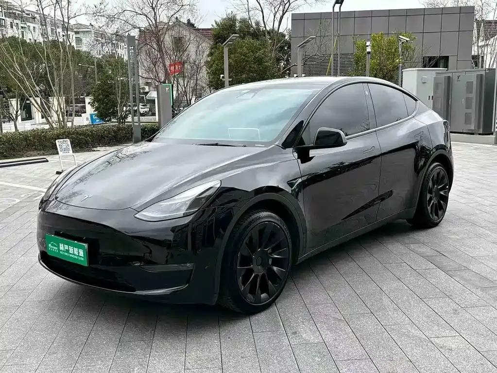 Tesla Model Y — фото 10