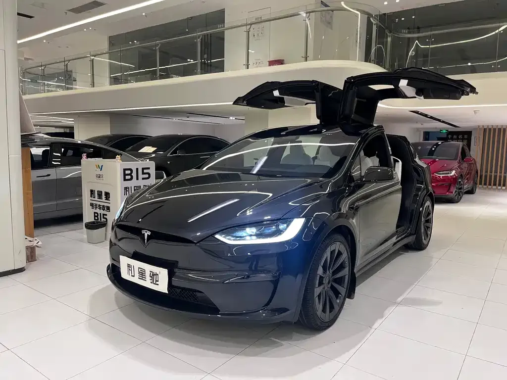 Tesla Model X — фото 6