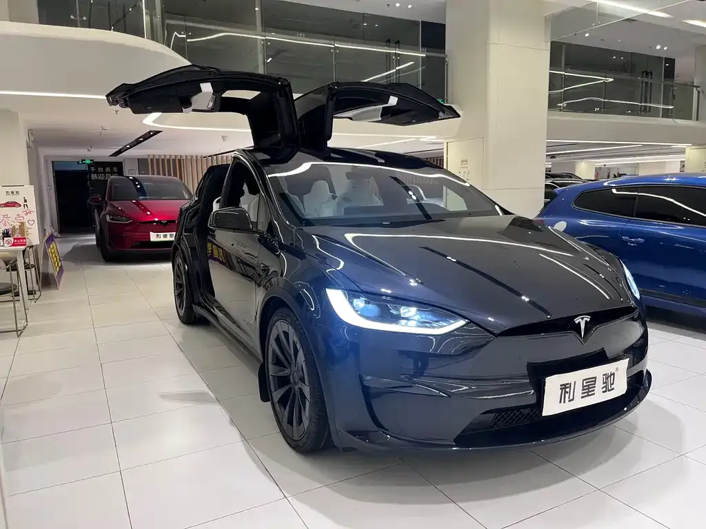 Tesla Model X — фото 10