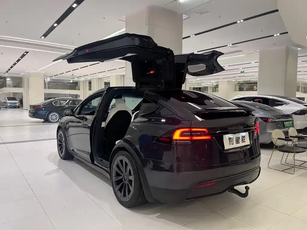 Tesla Model X — фото 9