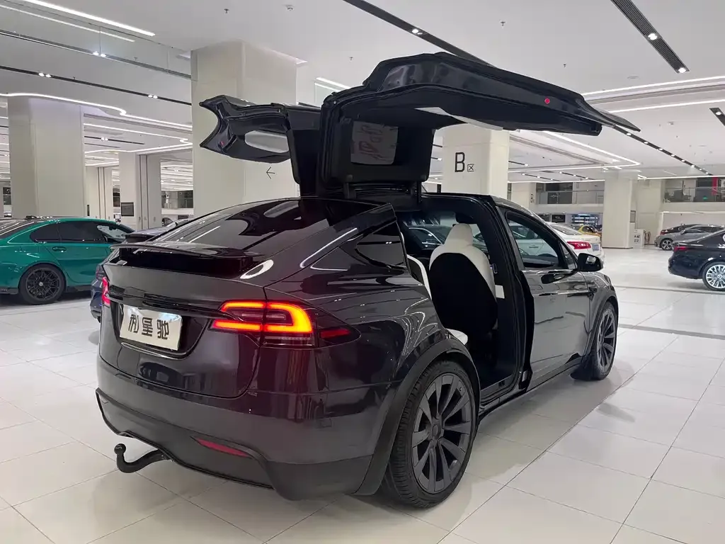 Tesla Model X — фото 7