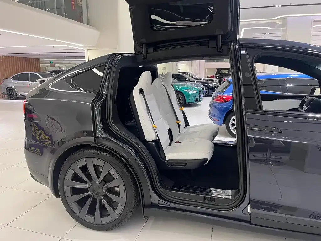 Tesla Model X — фото 8