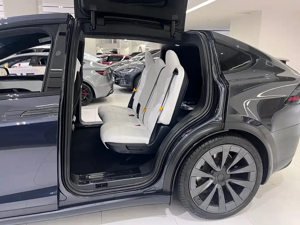 Tesla Model X — фото 2