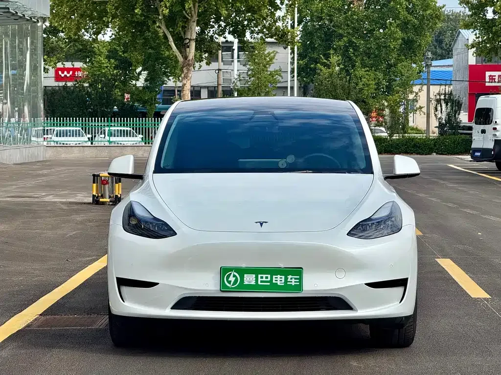 Tesla Model Y — фото 10
