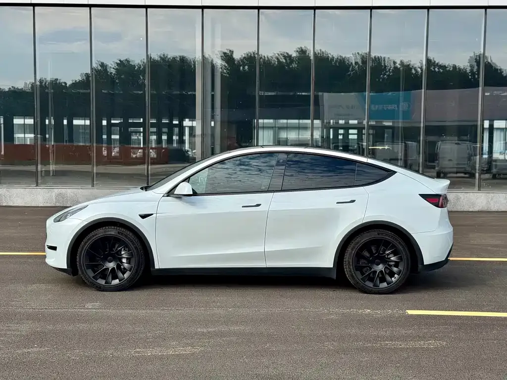 Tesla Model Y — фото 9