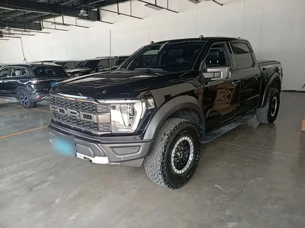 Ford F-150 Raptor — фото 1
