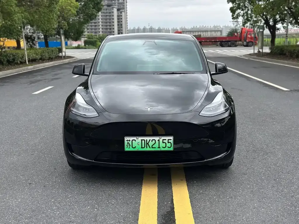 Tesla Model Y — фото 1