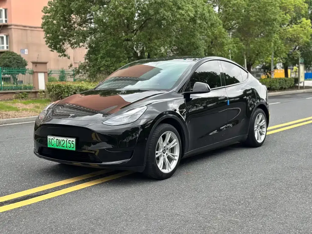 Tesla Model Y — фото 9