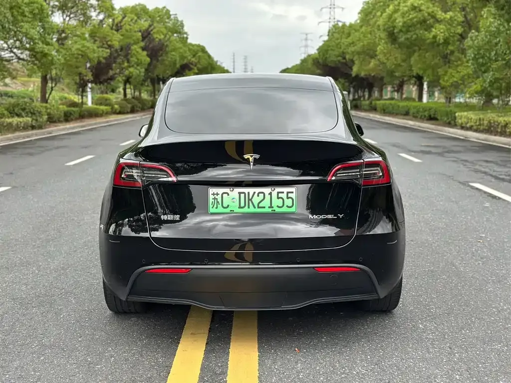 Tesla Model Y — фото 8