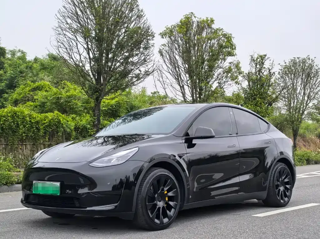 Tesla Model Y — фото 1