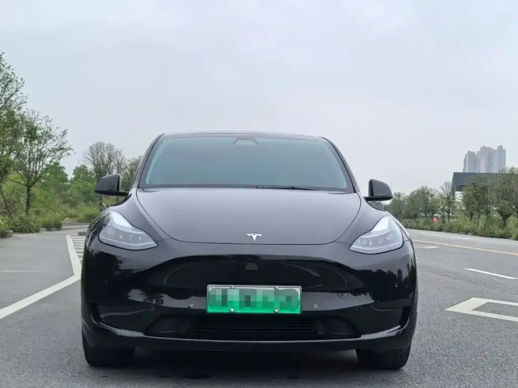 Tesla Model Y — фото 2