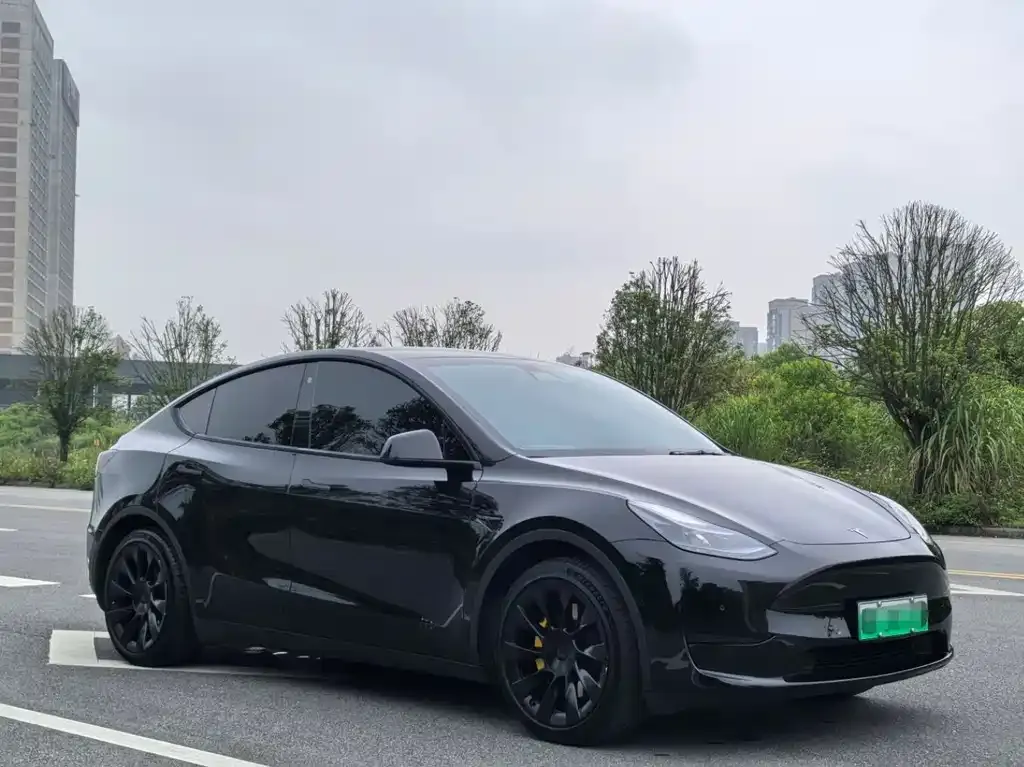 Tesla Model Y — фото 4