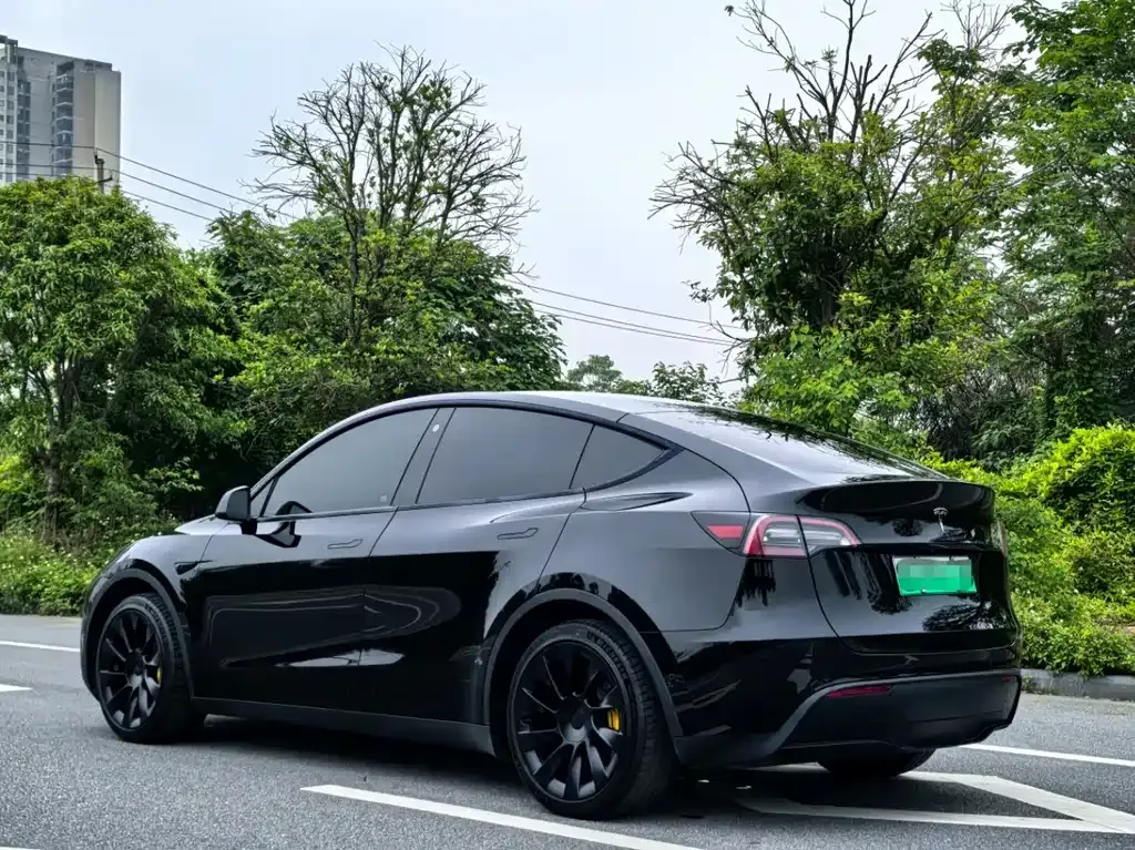 Tesla Model Y — фото 9