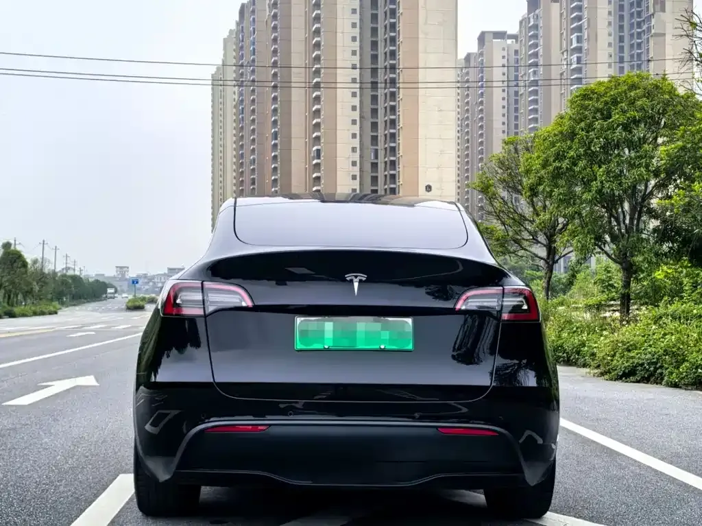 Tesla Model Y — фото 6