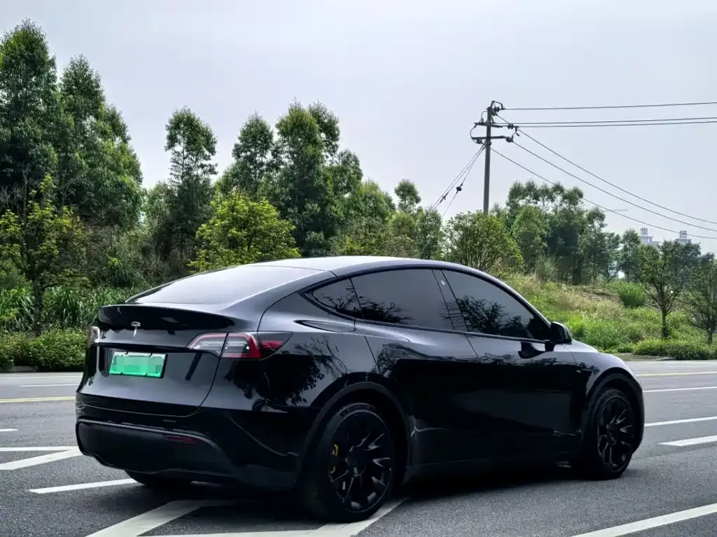 Tesla Model Y — фото 7
