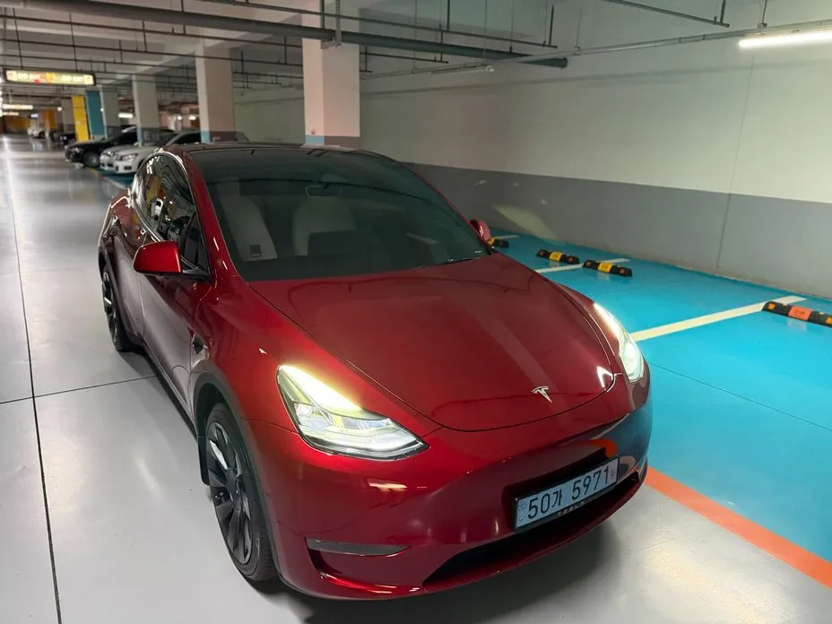 Tesla Model Y — фото 1