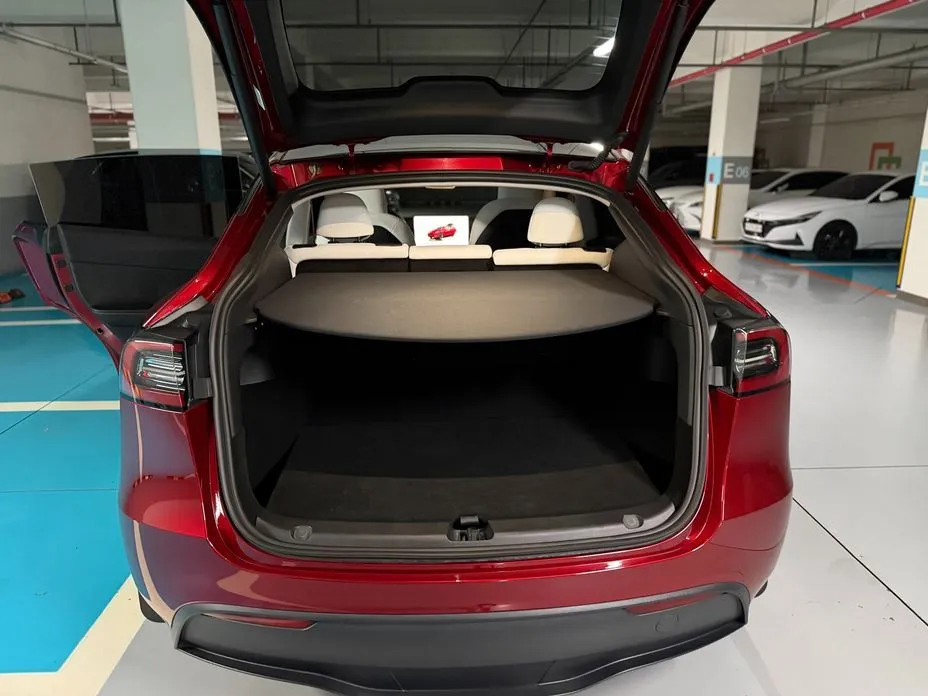 Tesla Model Y — фото 8