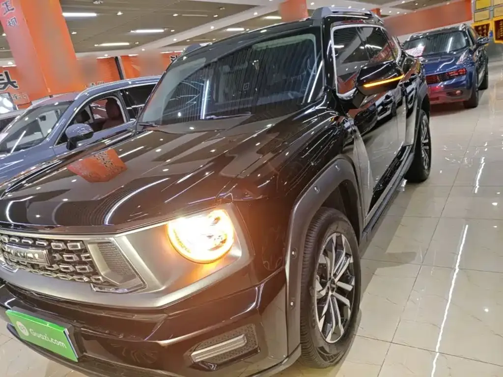 Haval H7 (Big Dog Plus) — фото 6