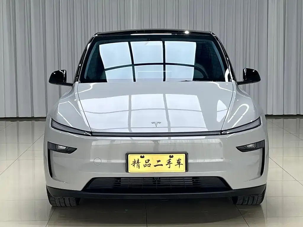 Tesla Model Y — фото 2