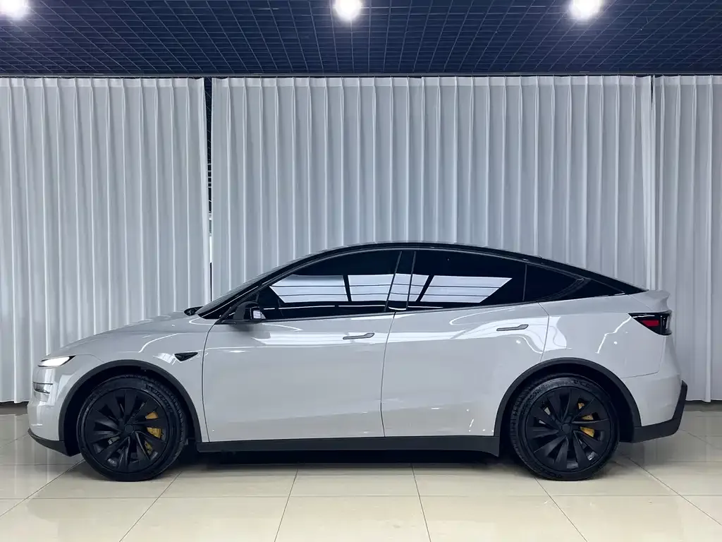 Tesla Model Y — фото 8