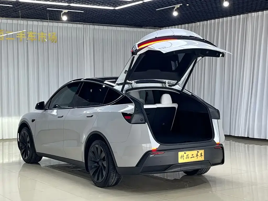 Tesla Model Y — фото 10