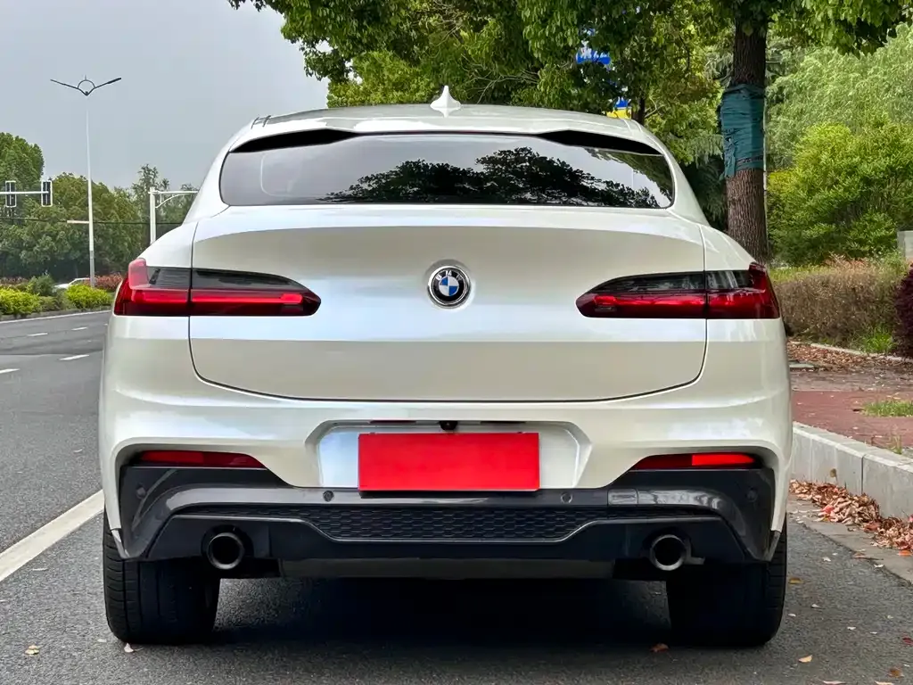 BMW X4 — фото 10