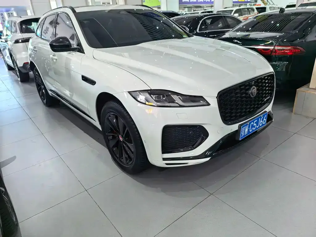 Jaguar F-PACE — фото 8