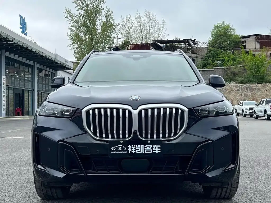 BMW X5 — фото 9