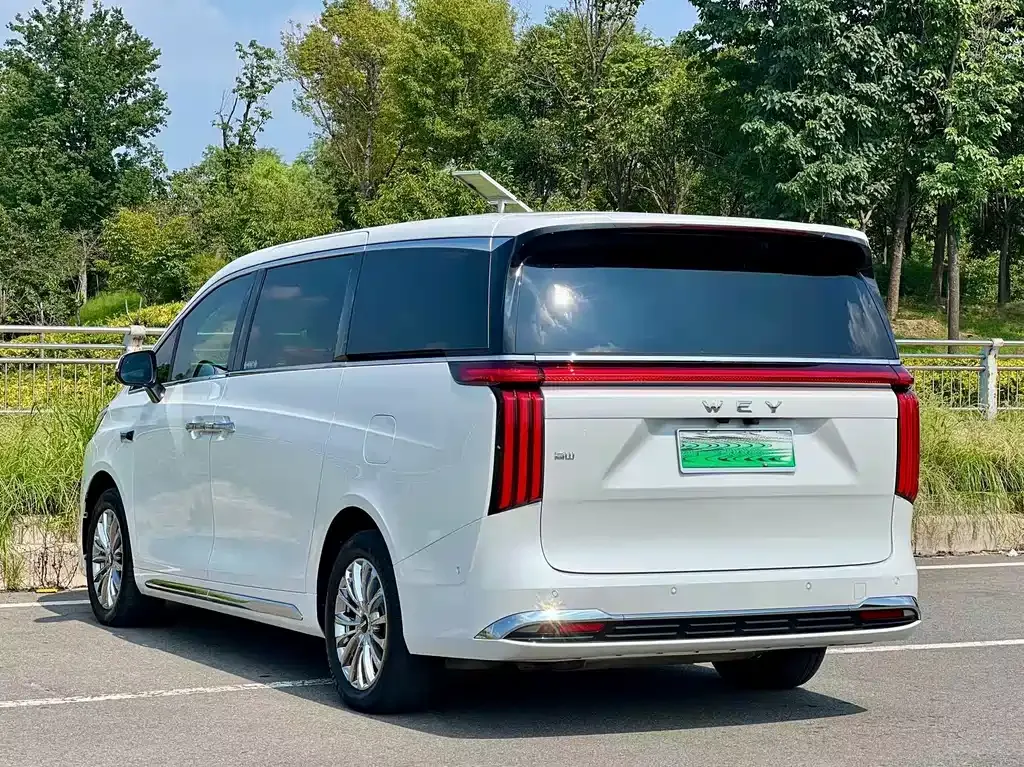 Wey 魏牌 高山新能源 — фото 8