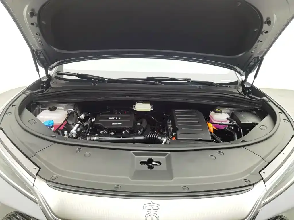 BYD L DM-i — фото 10