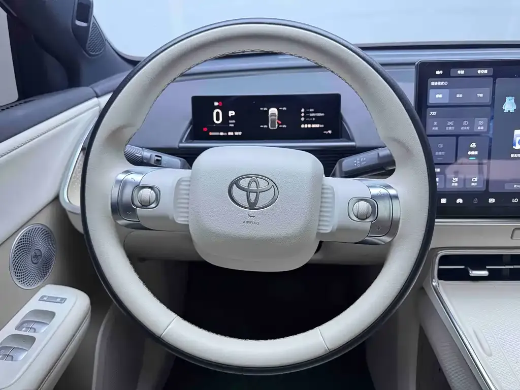 Toyota Platinum 3X — фото 10