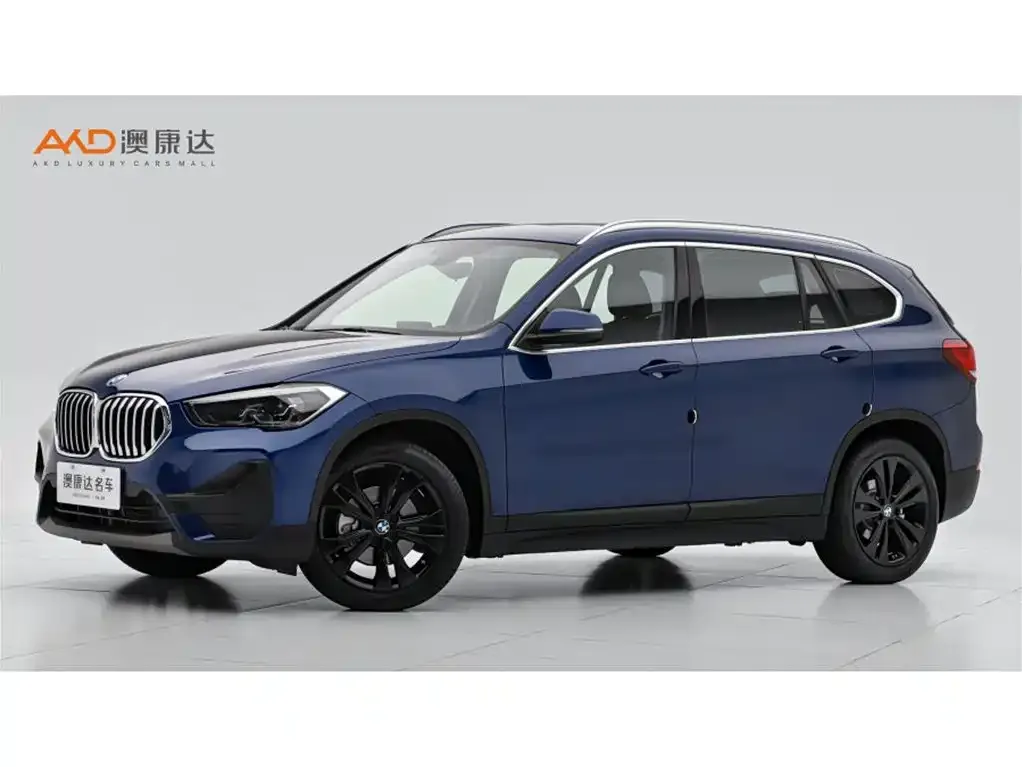 BMW X1 — фото 1