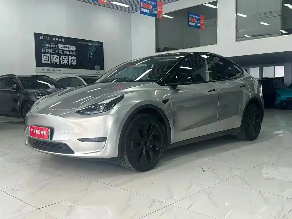 Tesla Model Y — фото 1