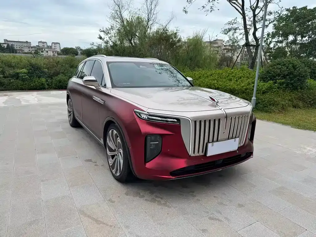 Hongqi E-HS9 — фото 10