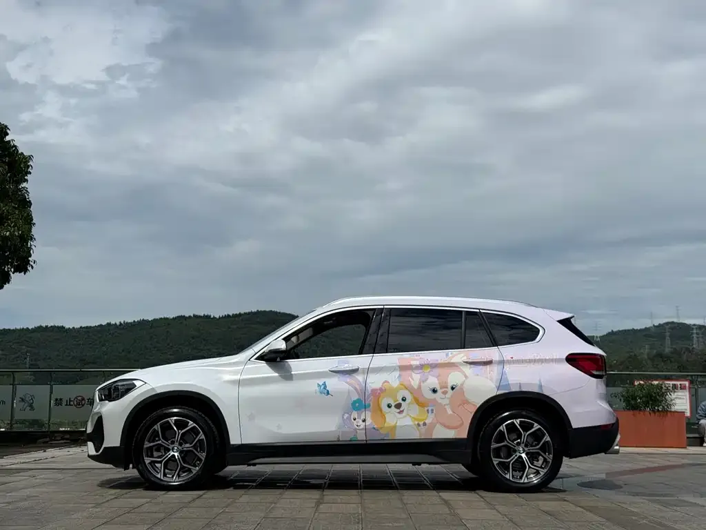BMW X1 — фото 2