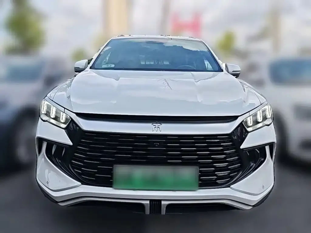BYD Pro New Energy — фото 2