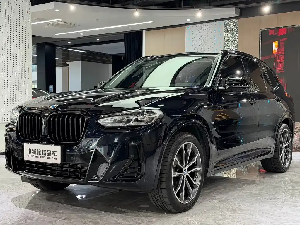 BMW X3 — фото 1