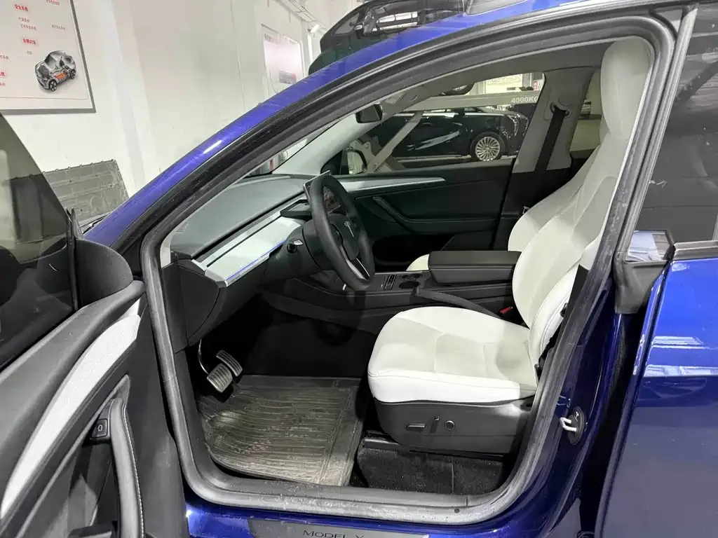 Tesla Model Y — фото 6