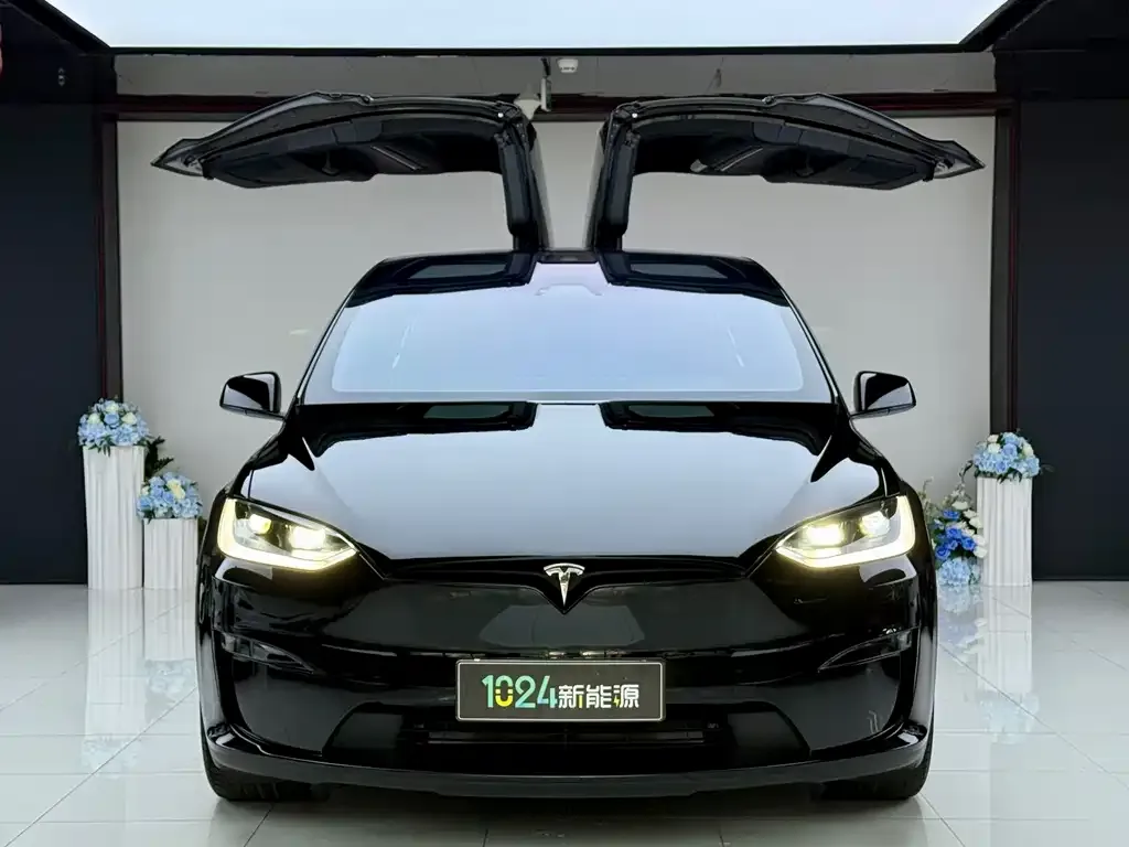 Tesla Model X — фото 2