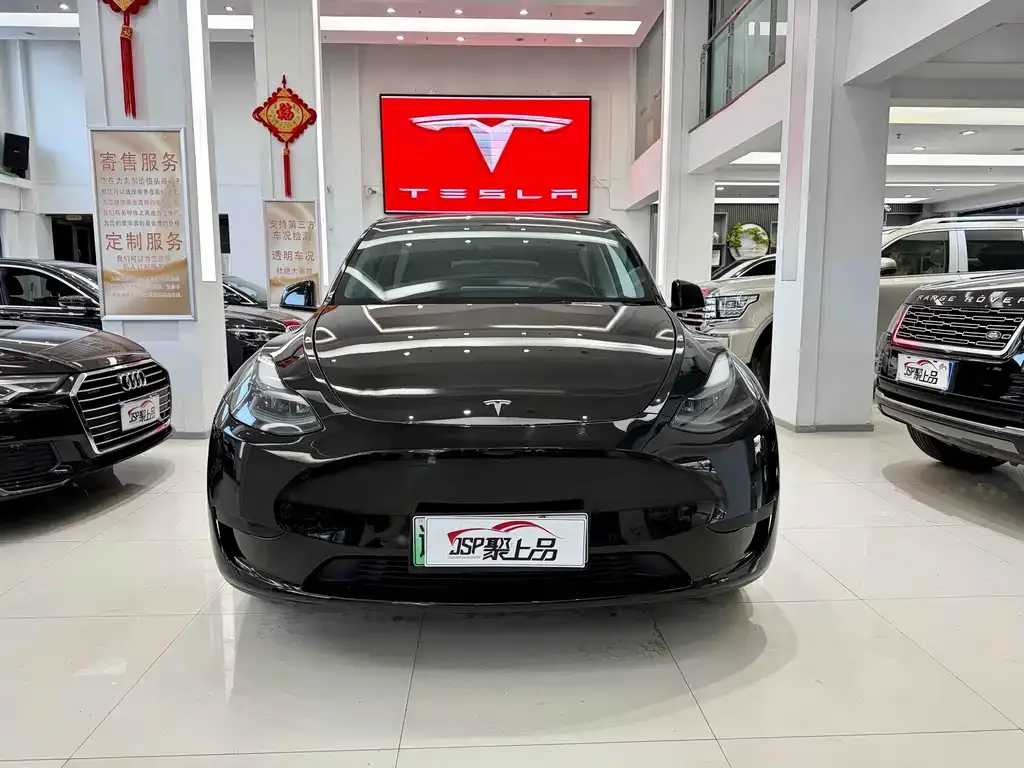 Tesla Model Y — фото 9