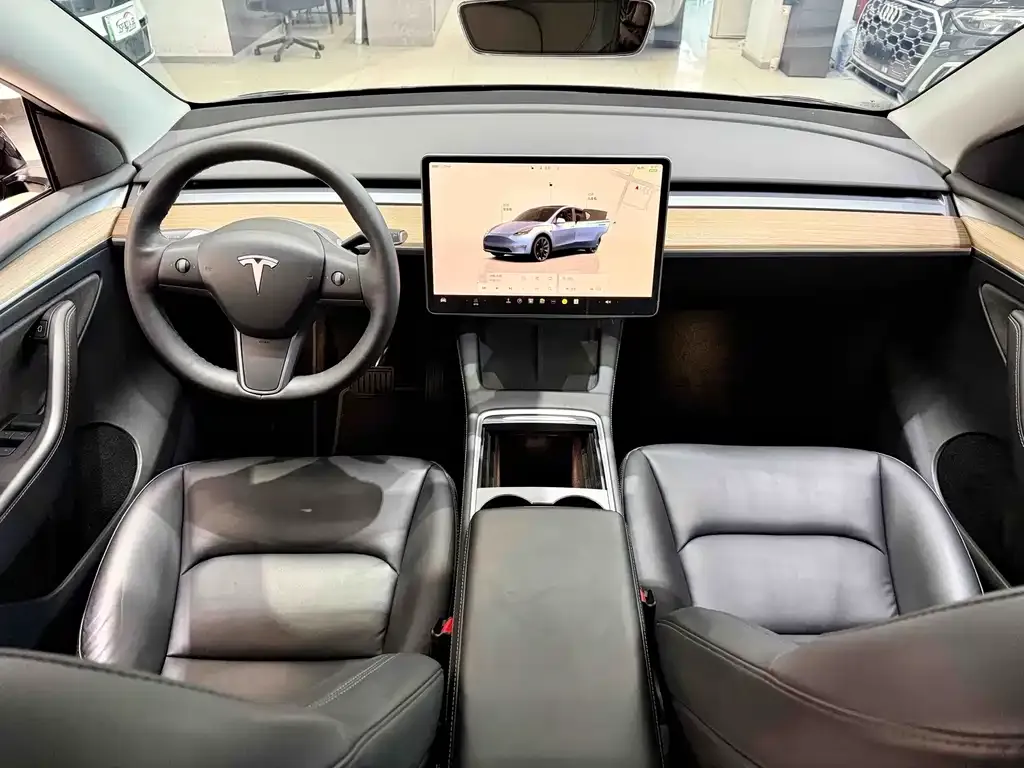 Tesla Model Y — фото 8