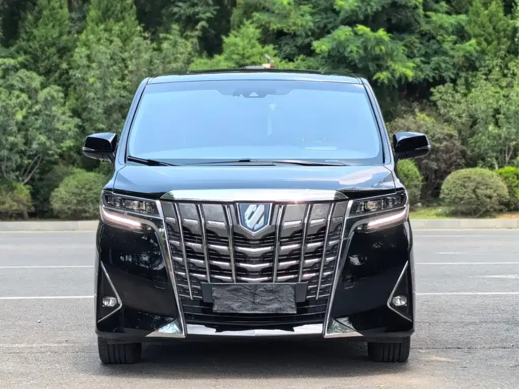 Toyota Alphard — фото 8