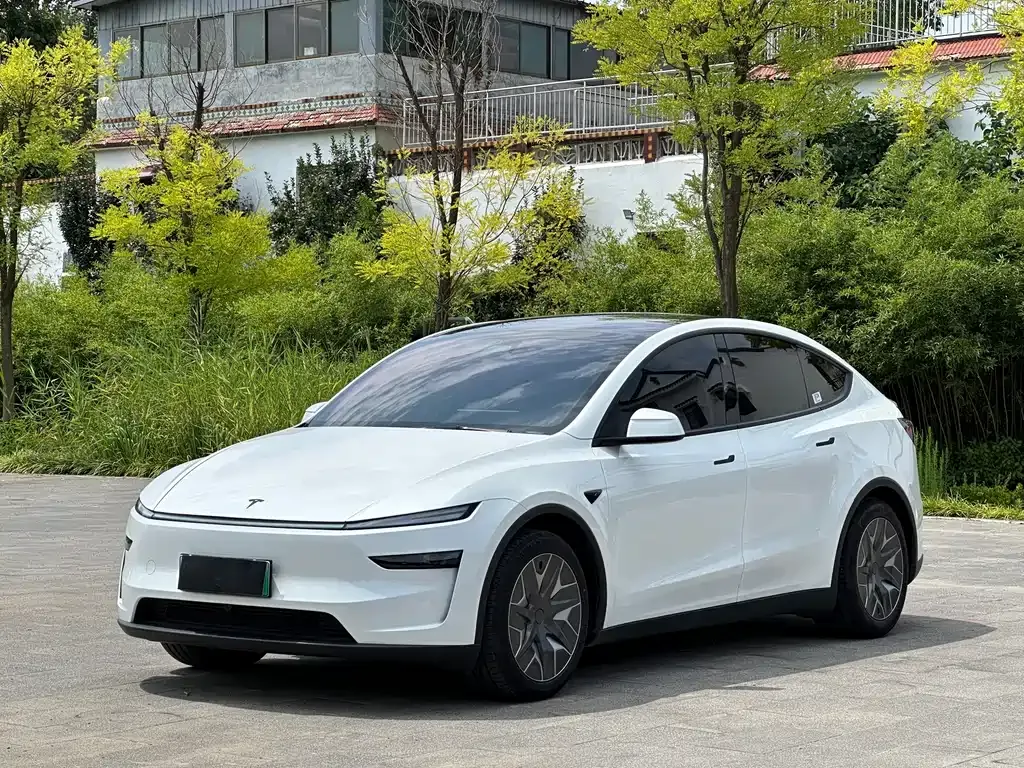 Tesla Model Y L — фото 1