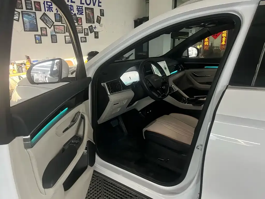 BYD PLUS New Energy — фото 10