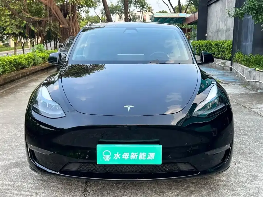 Tesla Model Y — фото 2