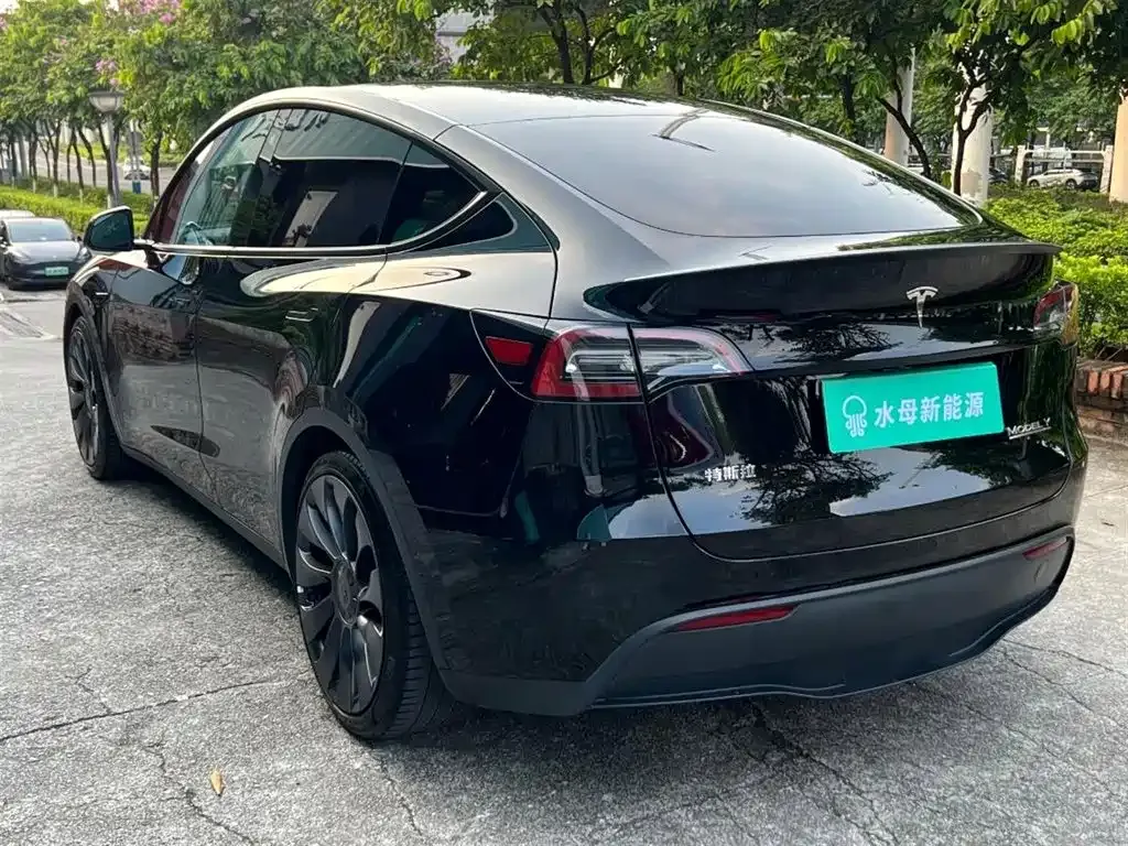 Tesla Model Y — фото 10