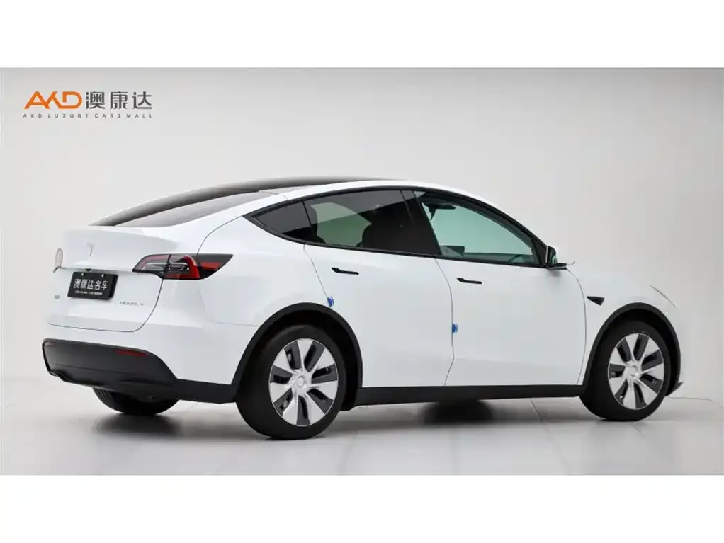 Tesla Model Y — фото 10