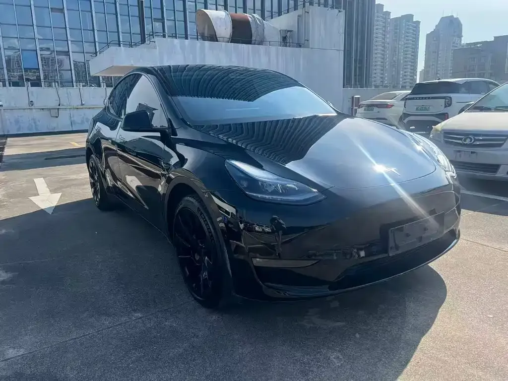 Tesla Model Y — фото 6